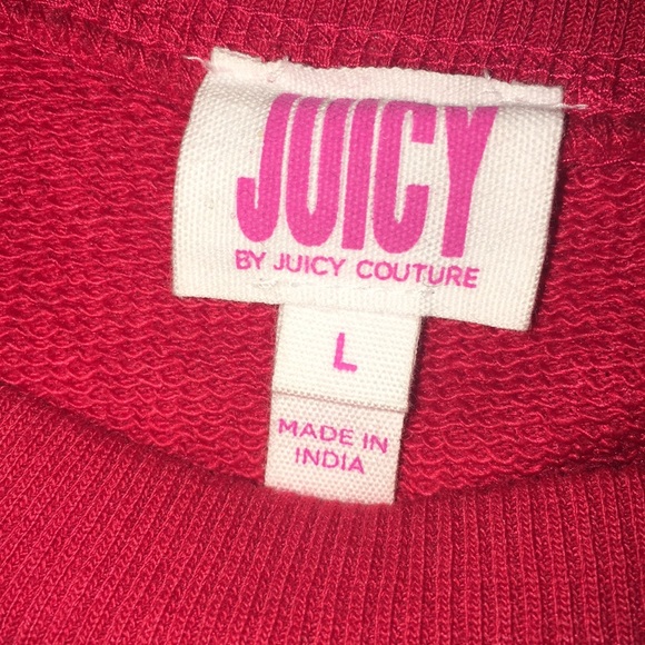 Juicy Couture Colorblock Sweatshirt in Large - Picture 11 of 16